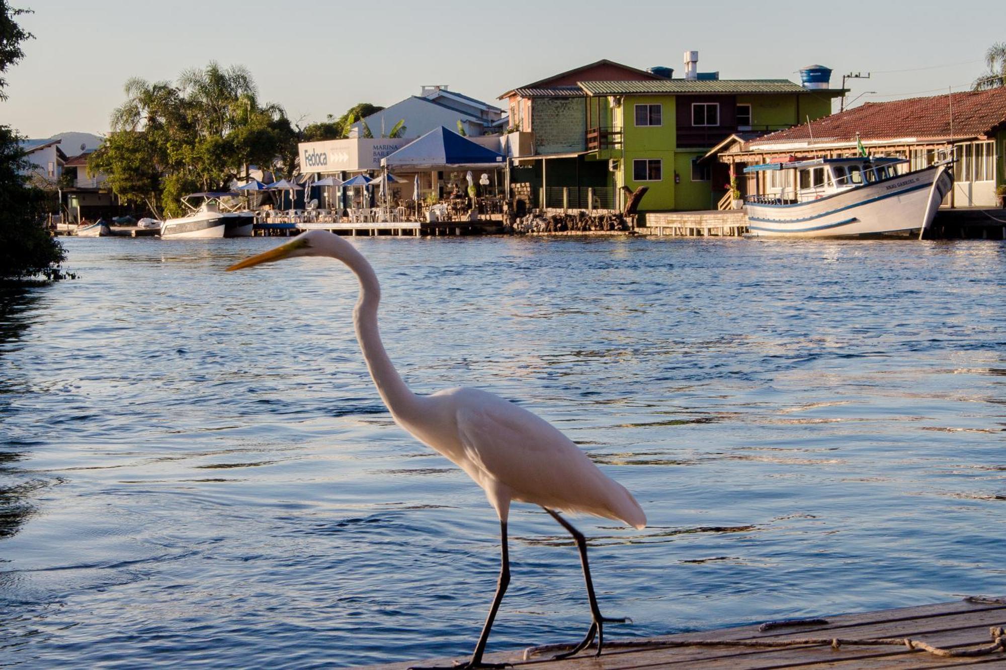 Pousada Quinta Da Margem Florianópolis 外观 照片